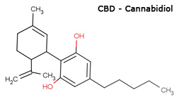 CBD - Cannabidiol molecule CBD - Cannabidiol molecule