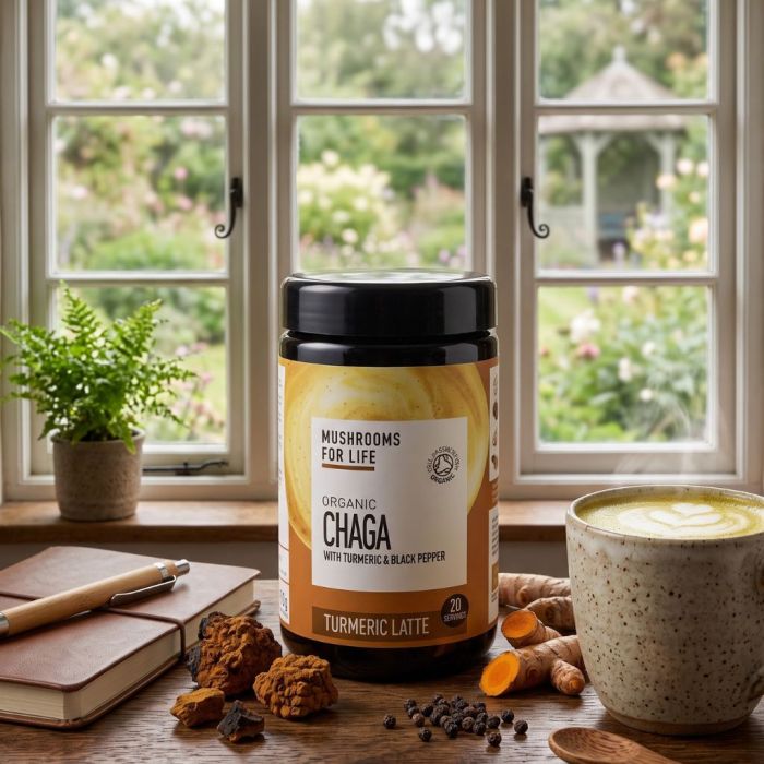 Chaga Turmeric Latte Organic (Mushrooms4Life) 120 grams main product photo