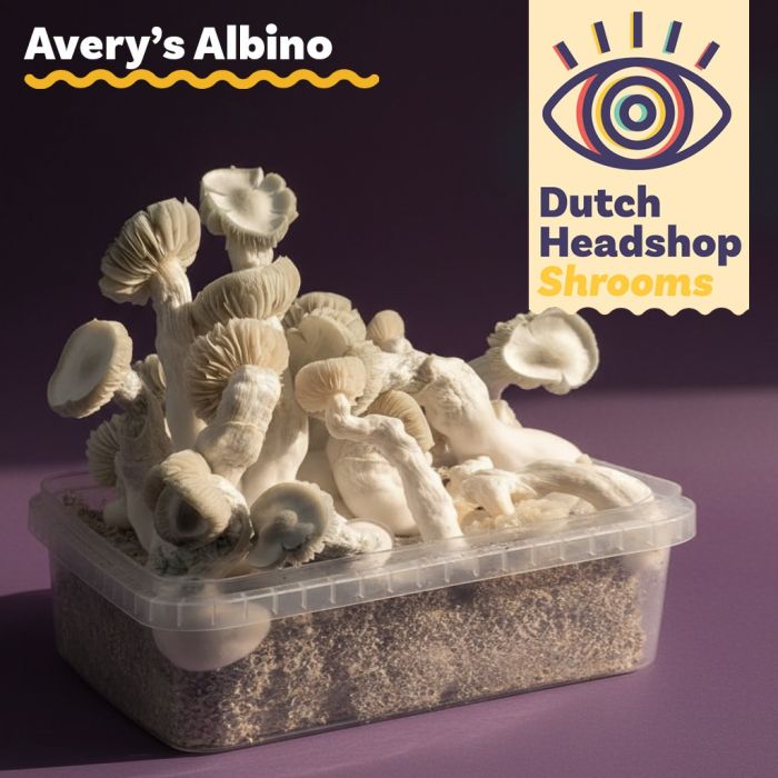 Magic Mushroom Growkit Avery's Albino 1200cc (Private Label) main product photo