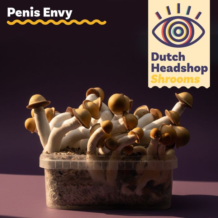 Magic Mushroom Growkit Penis Envy 1200cc (Private Label) main product photo