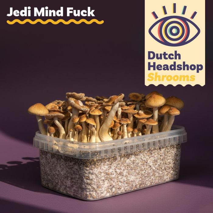 Magic Mushroom Growkit Jedi Mind Fuck 1200cc (Private Label) main product photo
