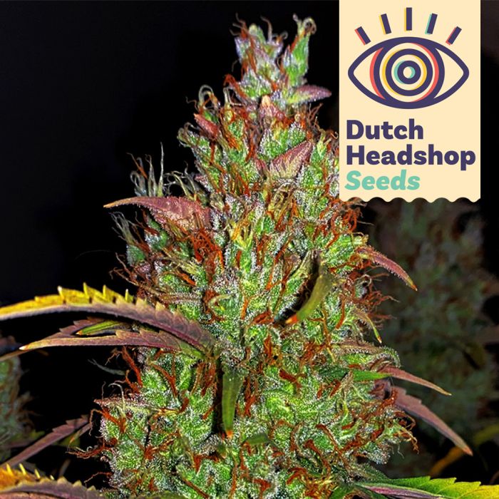 Auto Pineapple Chunk (Private Label) main product photo