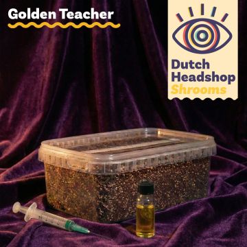 Golden Teacher Liquid Culture Bundle with Substrate