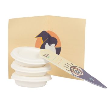 Seed Germination Kit Dutch-Headshop