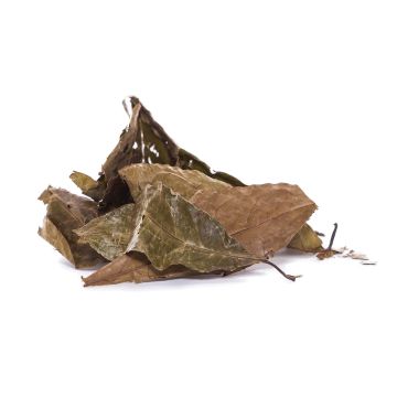 Chaliponga Leaves [Diplopterys cabrerana] 20 grams