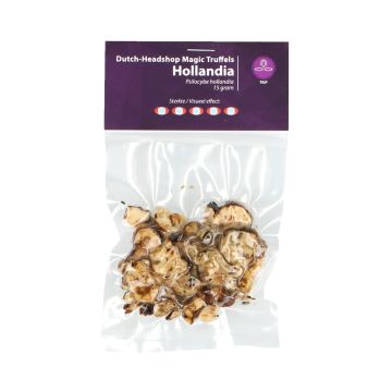 Magic Truffles Hollandia (Private Label) 15 gram