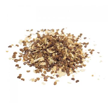 Kanna Seeds [Sceletium tortuosum] 10 pieces