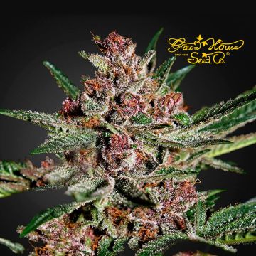 Bubba Kush (Greenhouse Seeds) 3 seeds