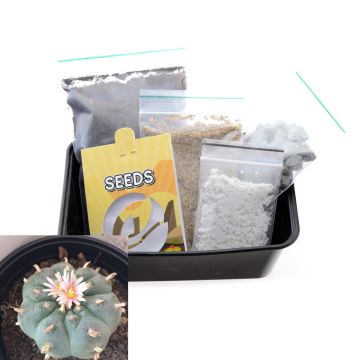 Peyote cactus Growkit [Lophophora Williamsii] 20 Seeds