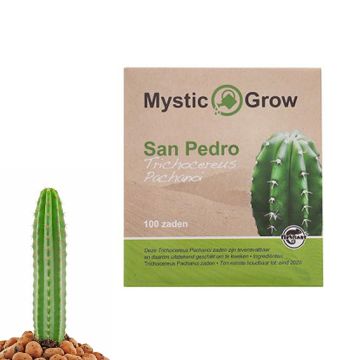 San Pedro Mescaline Cactus [Echinopsis Pachanoi] (Mystic Grow) 100 seeds