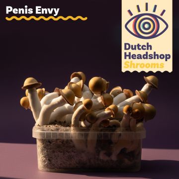Magic Mushroom Growkit Penis Envy 1200cc (Private Label)