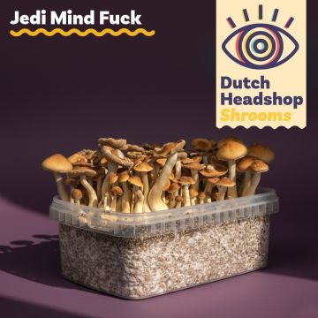 Magic Mushroom Growkit Jedi Mind Fuck 1200cc (Private Label)