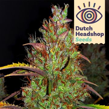 Auto Pineapple Chunk (Private Label)