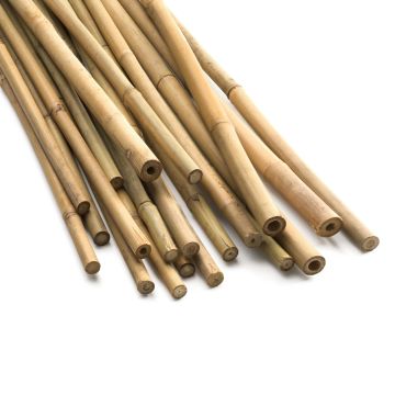 Bamboo Plant Supports 120 cm 25 pieces
