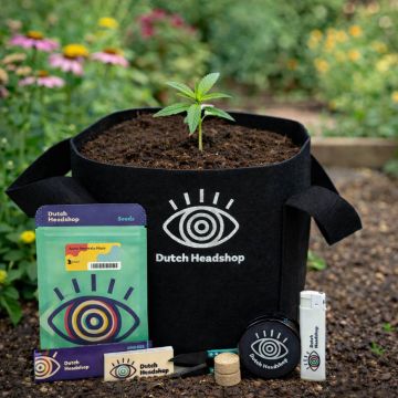 Dutch-Headshop All-in-One Autoflower Growbucket Grow Cannabis