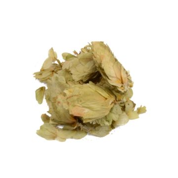 Hops [Humulus lupulus] 20 grams