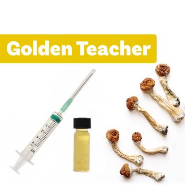Magic Mushroom Liquid Culture | Golden Teacher
