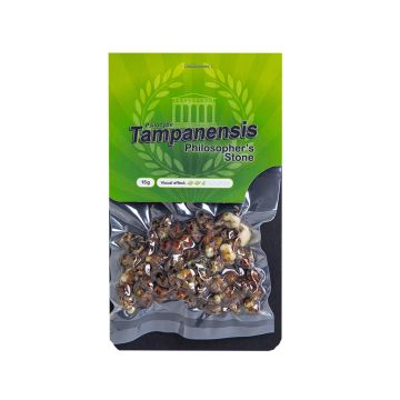 Magic Truffles Tampanensis 15 grams