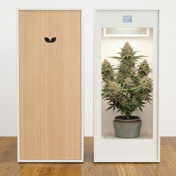 MiniGrow Box One | Grow Cannabis