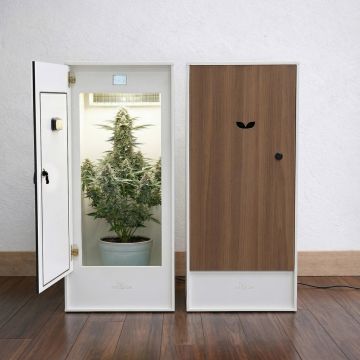 MiniGrow One Large - Grow Box