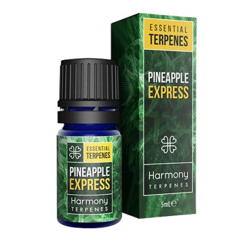 Terpenes Extract Pineapple Express (Harmony) 5 ml