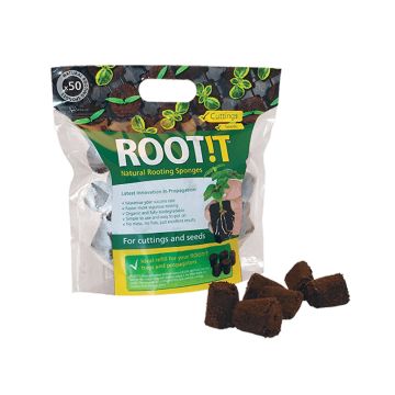 Natural Rooting Sponges (ROOT!T) 50 pcs