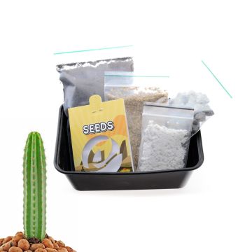 San Pedro cactus Growkit [Echinopsis Pachanoi] 20 Seeds