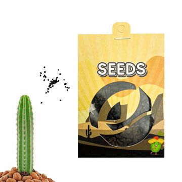 San Pedro Mescaline Cactus [Echinopsis Pachanoi] 20 seeds