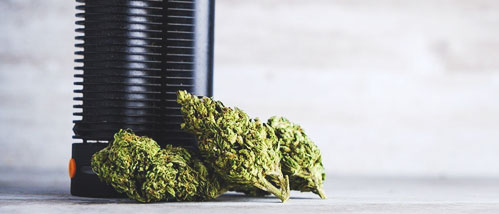 Buying Your First Vaporizer – The Answers to All Your Questions