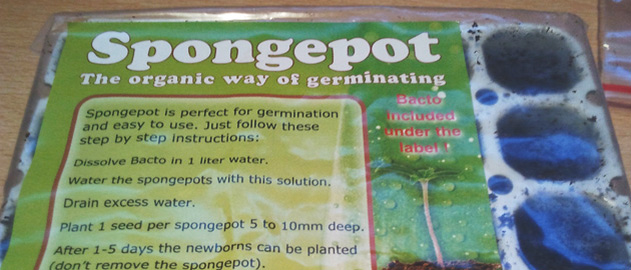 Germinating Cannabis Seeds with a Spongepot