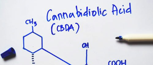 CBDA Effect and Properties