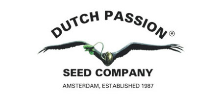 Dutch Passion seeds