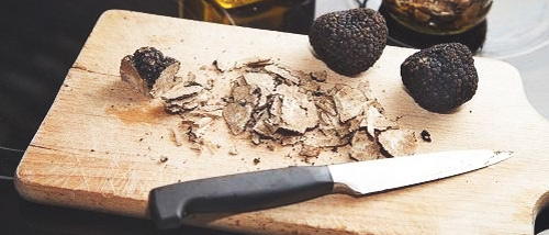 5 Tips for Eating Shrooms and Magic Truffles