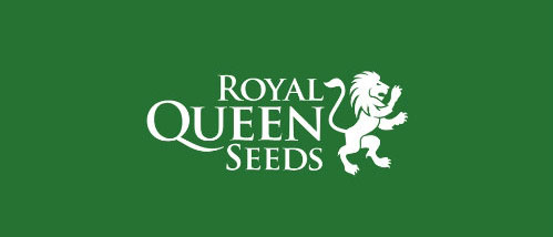 Royal Queen seeds marijuana seeds