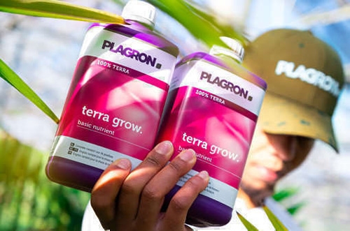 fertilizer for cannabis plants.