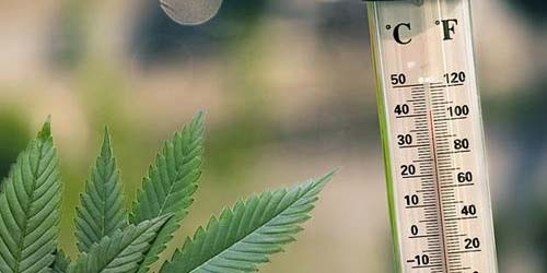 These are the Ideal Vaporizer Temperatures for Weed and Herbs