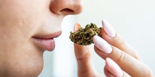 How to Prevent Weed Smell at Home?