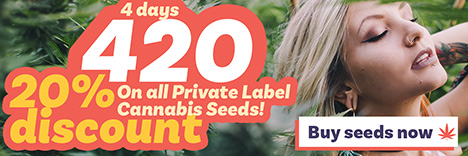 420 Discount!