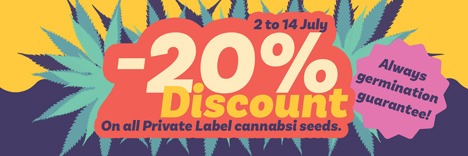 Get 20% off cannabis seeds now!!