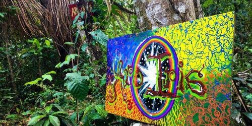 Everything you need to know about Ayahuasca and DMT Drugs in Europe