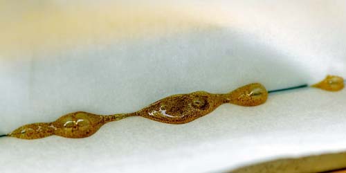 Course for Making Dabs - Part 1: Making Rosin