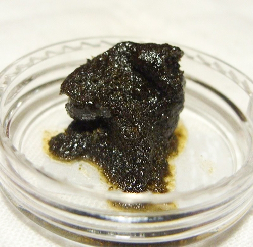 Strain Review: Power Plant (Ice-o-lator Hash)