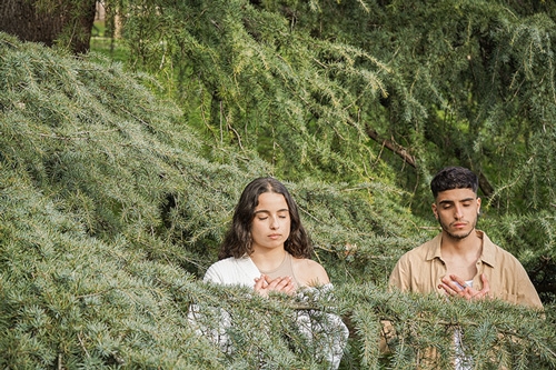 meditation in the forest
