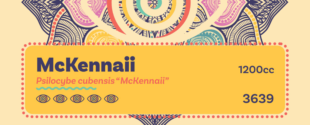 Cubensis varieties can be recognized at Dutch-Headshop by the yellow sticker.