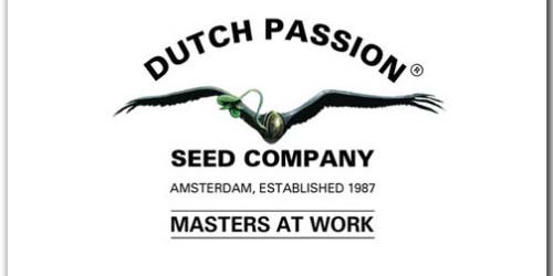 Dutch Passion seeds