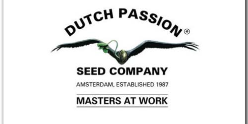 Dutch Passion Seeds logo Dutch Headshop