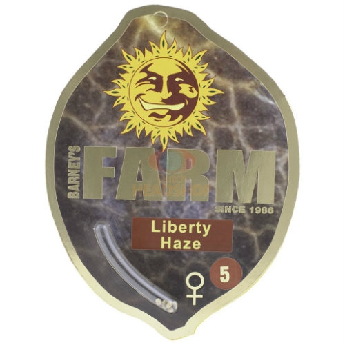 Liberty Haze Feminized Seeds Barney's Farm Dutch Headshop