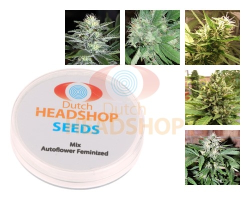 Mix Autoflowers Seeds Private Label Dutch Headshop