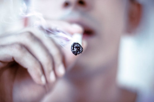 Smoking Cannabis With Tobacco Dutch Headshop