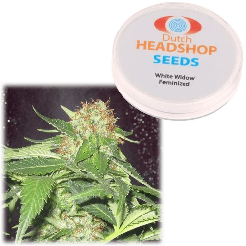 White Widow Feminized Seeds Private Label Dutch Headshop